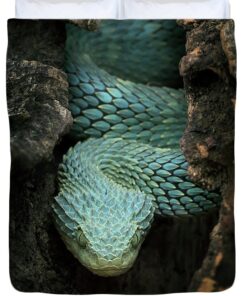 BABY SQUAMIGERA BUSH VIPERS FOR SALE